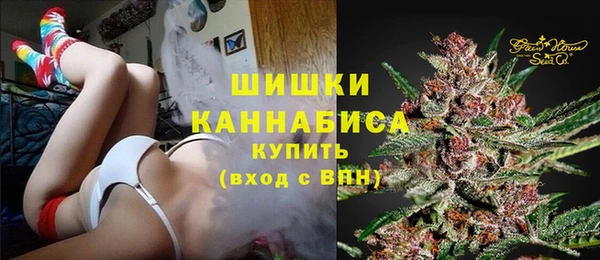 СК Волоколамск